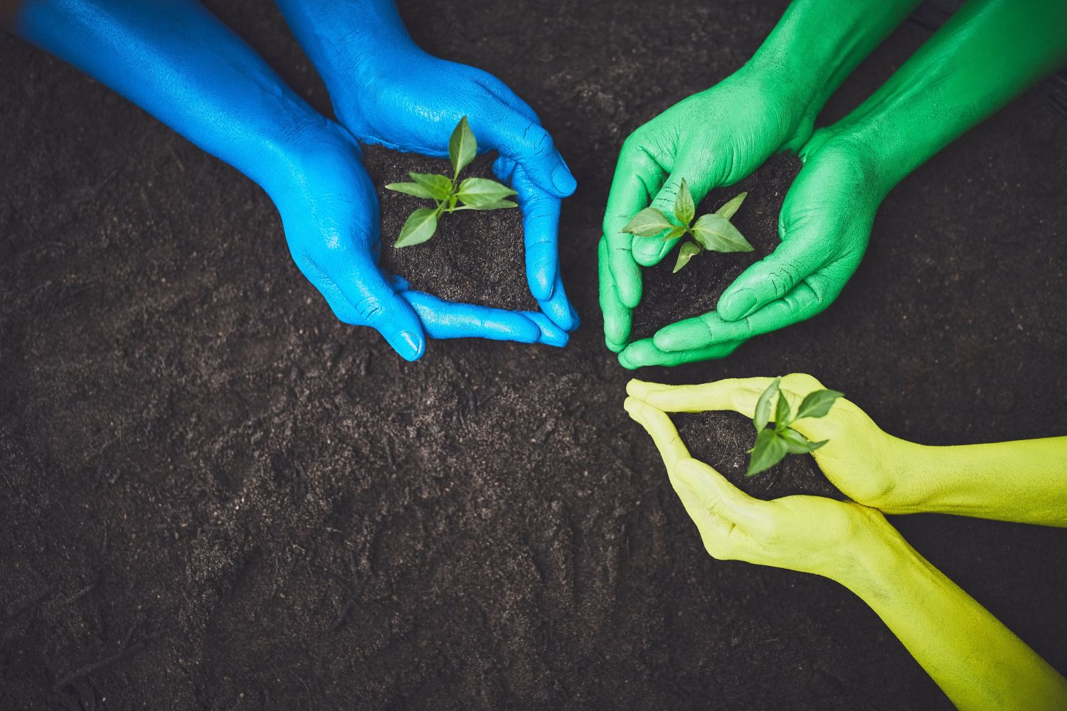 sustainability